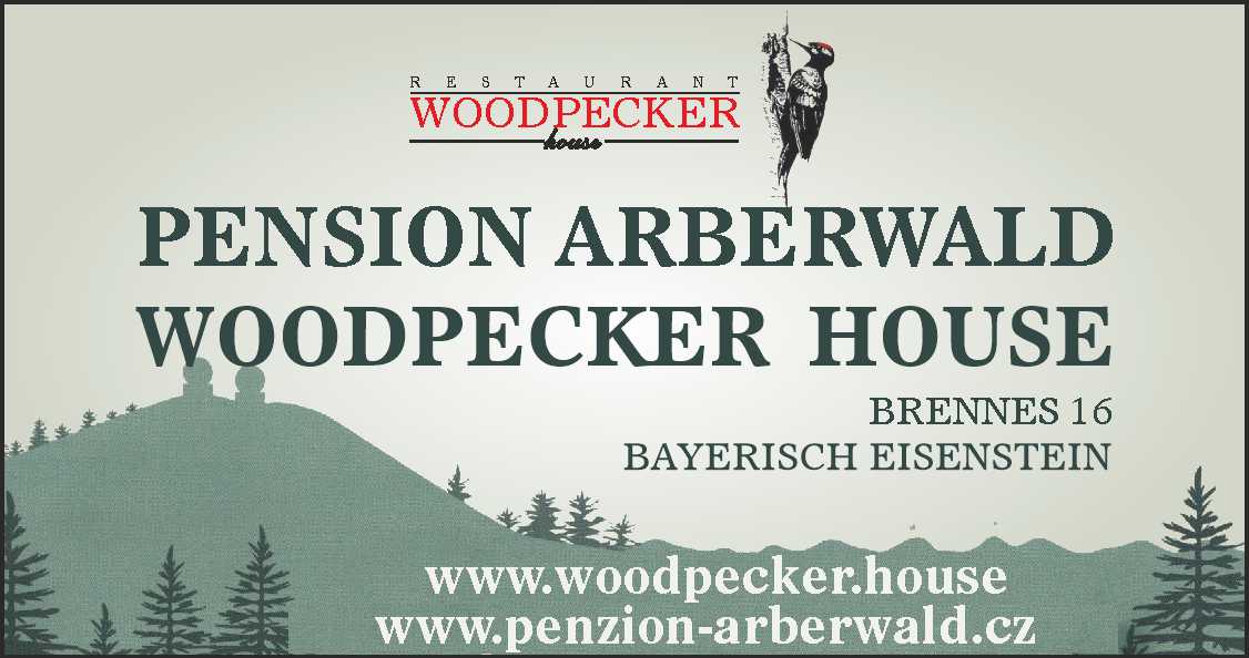 Pension Arberwald Woodpecker House