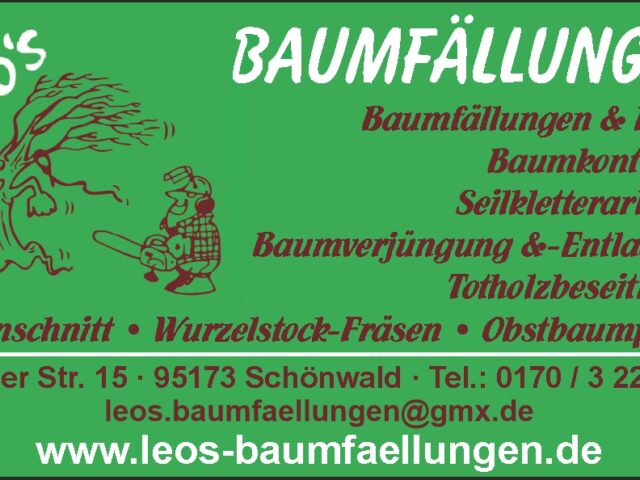 Leo´s Baumfällungen
