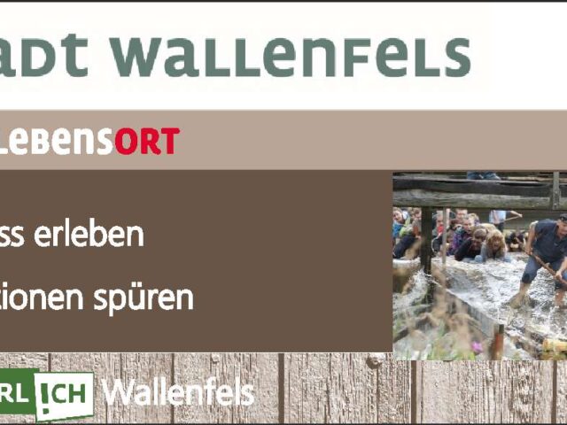 Stadt Wallenfels