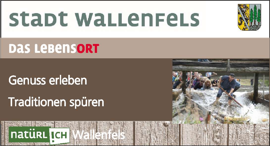Stadt Wallenfels